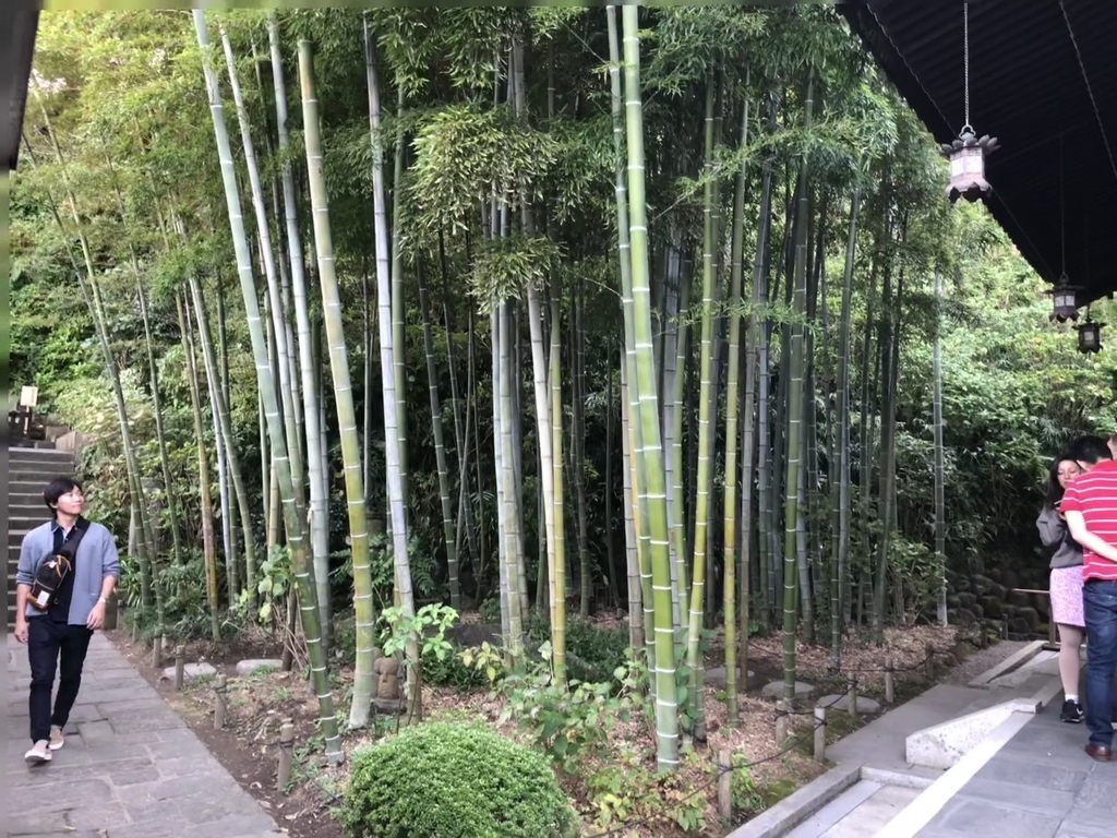 f:id:tsuruoka-eigo:20190306160005j:plain