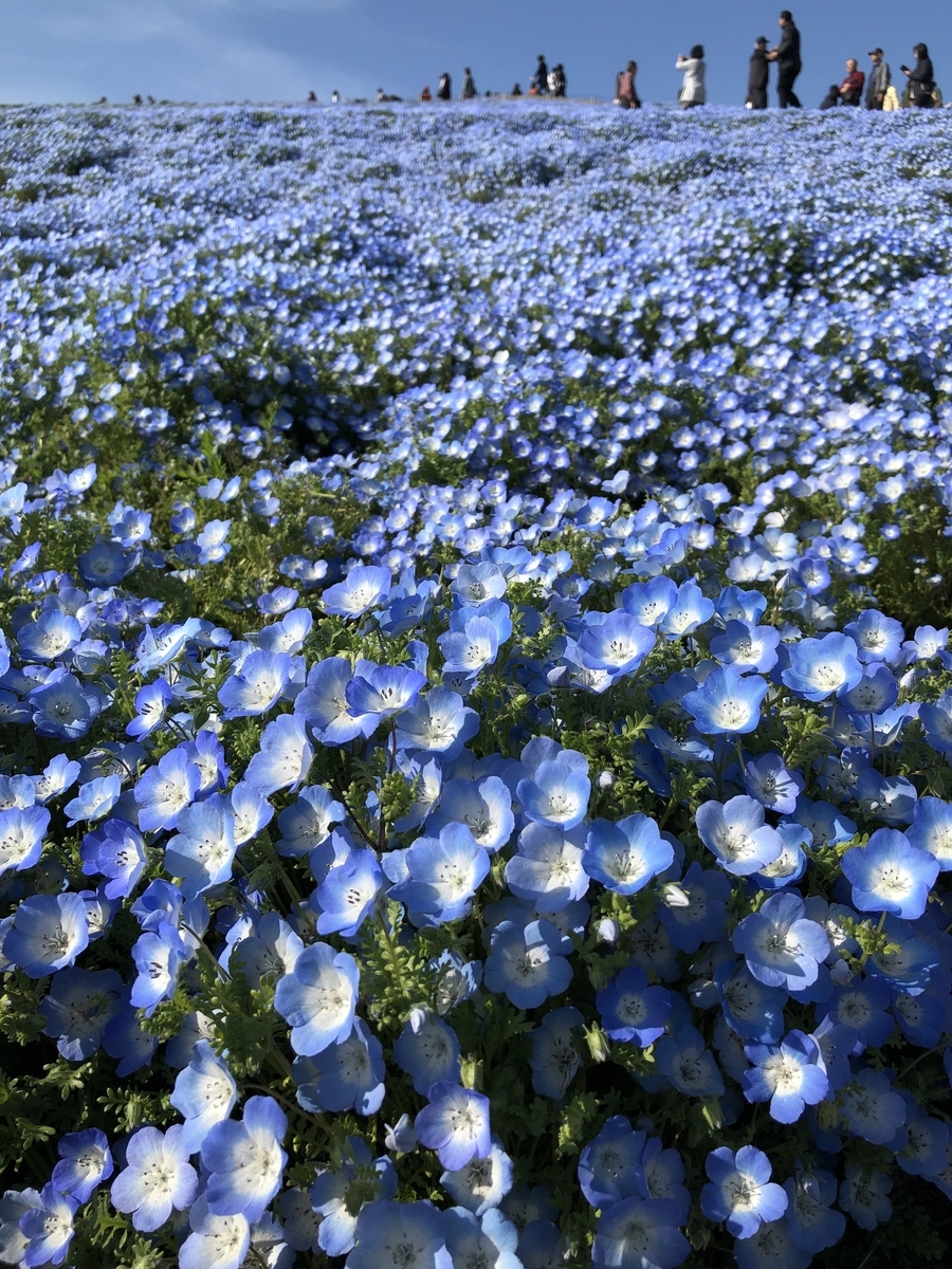 f:id:tsuruoka-eigo:20190504201626j:plain