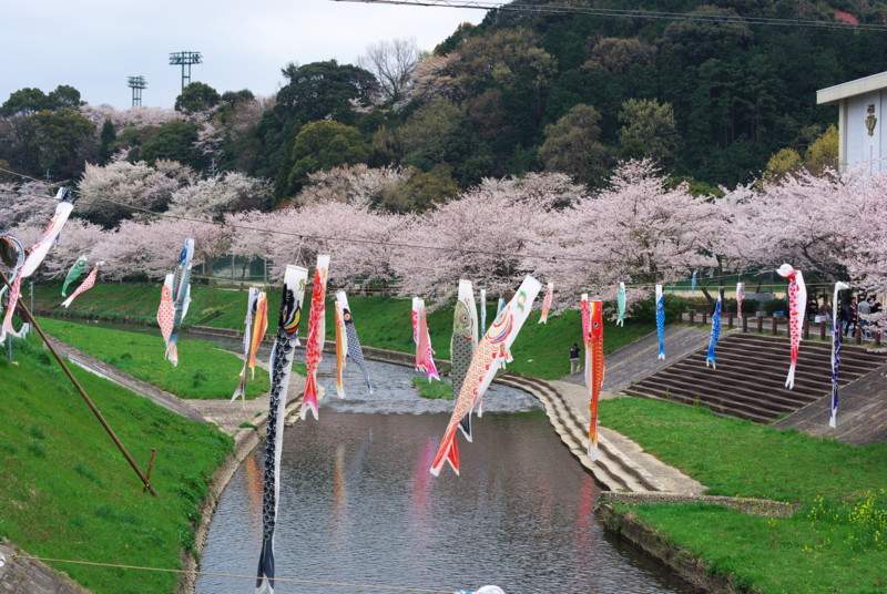 f:id:tsurupon:20100404140606j:image