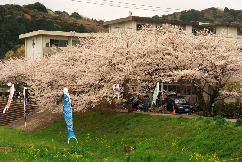f:id:tsurupon:20100404140609j:image