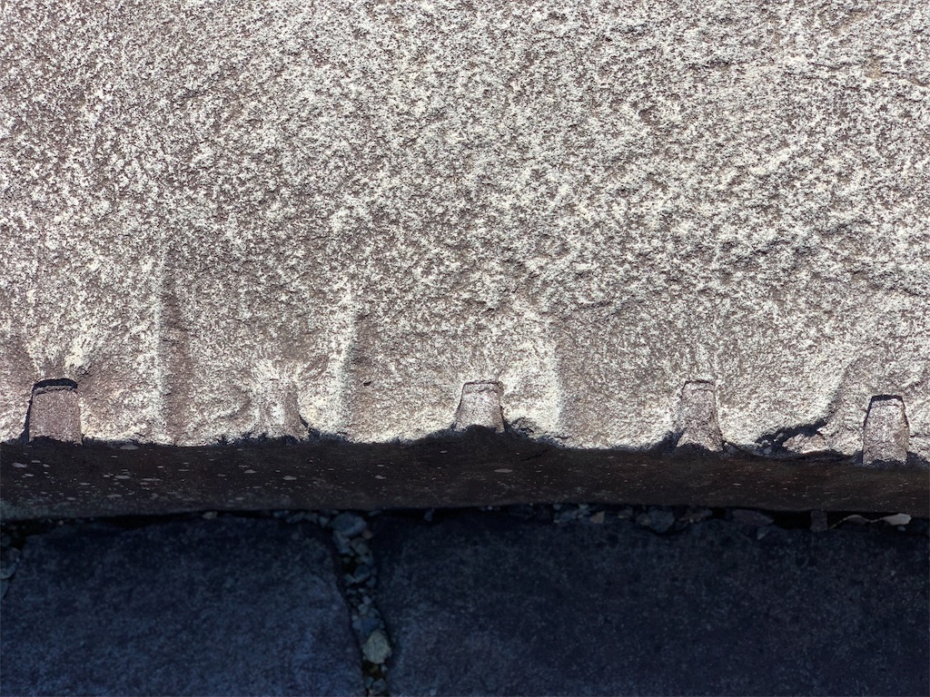 f:id:tsururiko:20201121221545j:image f:id:tsururiko:20201121221545j:image