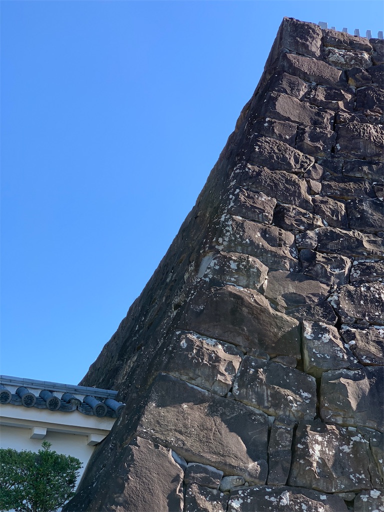 f:id:tsururiko:20201121221554j:image f:id:tsururiko:20201121221554j:image