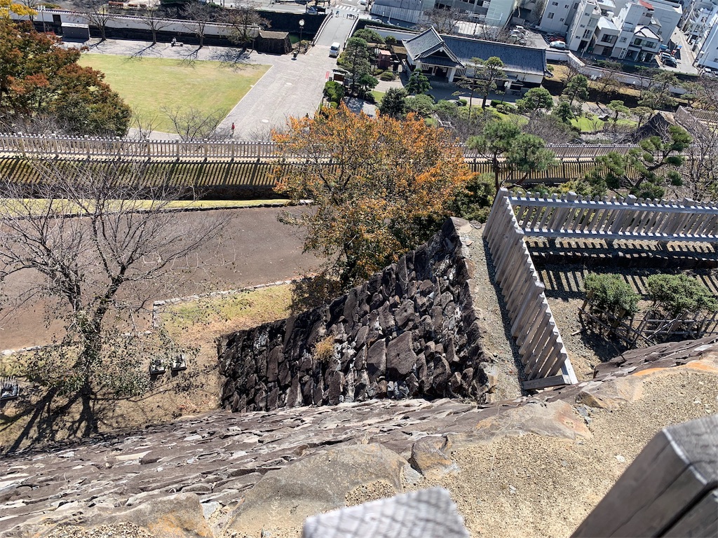 f:id:tsururiko:20201121222212j:image f:id:tsururiko:20201121222212j:image