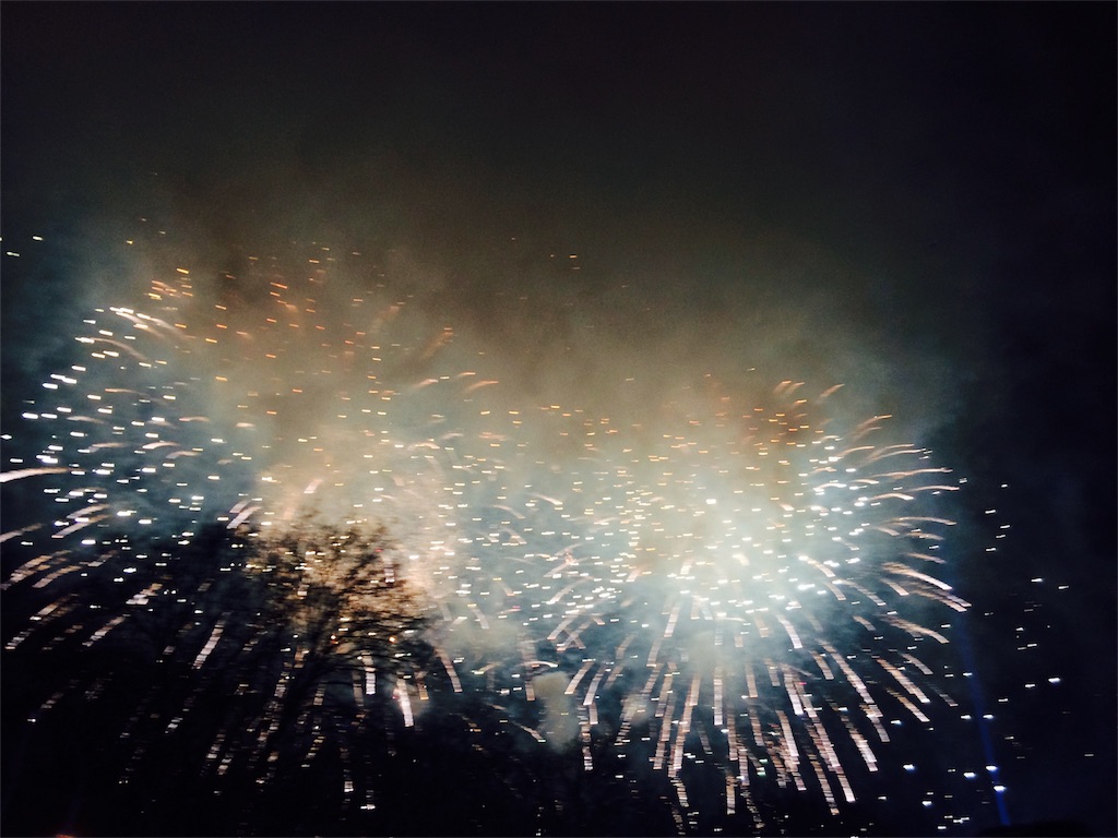 ドイツ 年越しはベルリンで TRAVEL TSURU