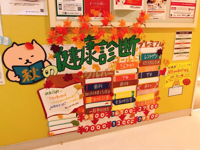 f:id:tsuruse_ah:20190901204749j:plain
