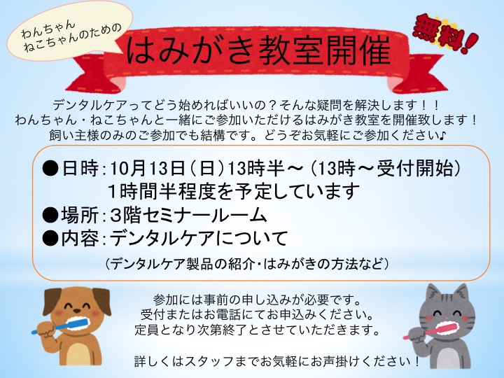 f:id:tsuruse_ah:20190915112122j:plain