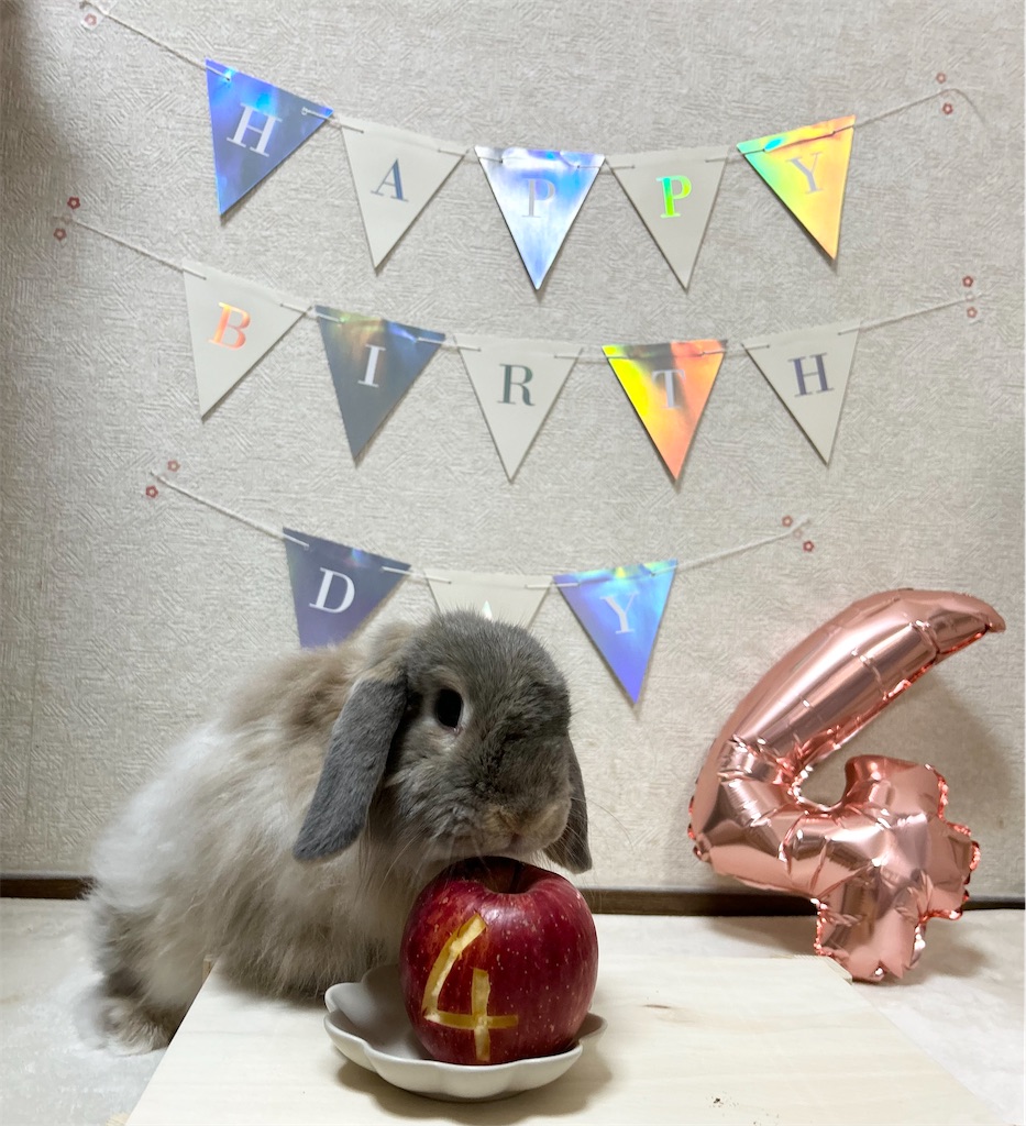 f:id:tsuruse_ah:20240725142710j:image
