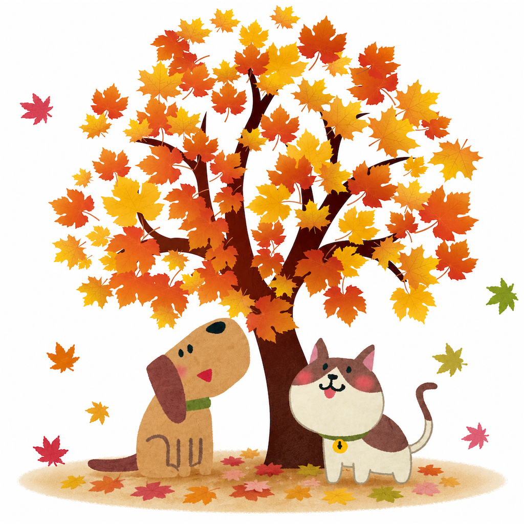 f:id:tsuruse_ah:20260826172824p:image