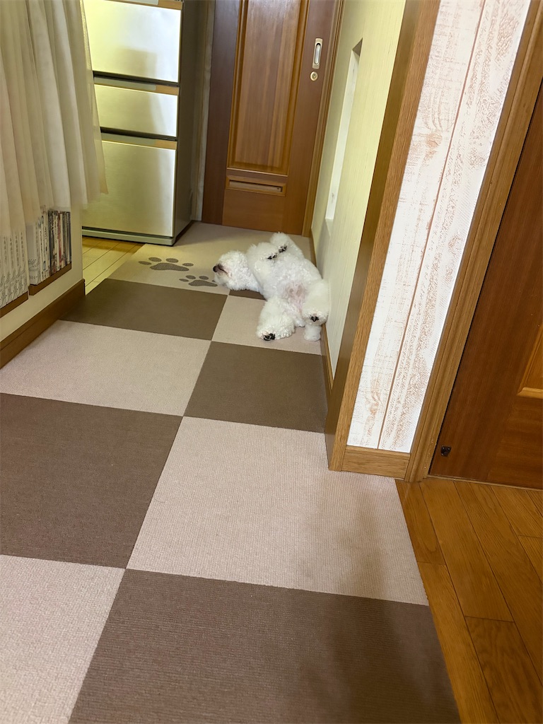 f:id:tsuruse_ah:20260915191522j:image
