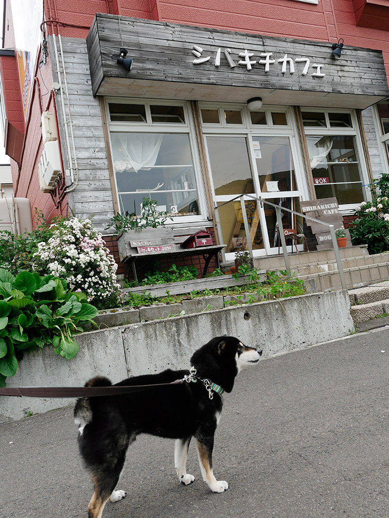 f:id:tsuruten:20200412185350j:plain