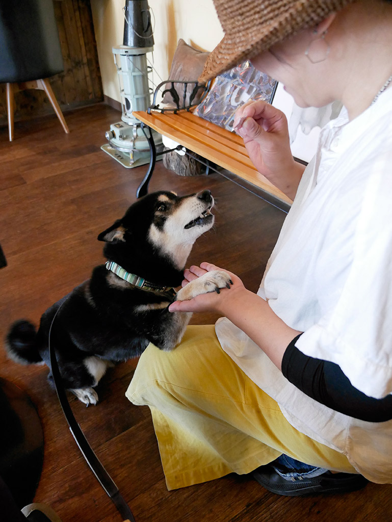 f:id:tsuruten:20200412185449j:plain