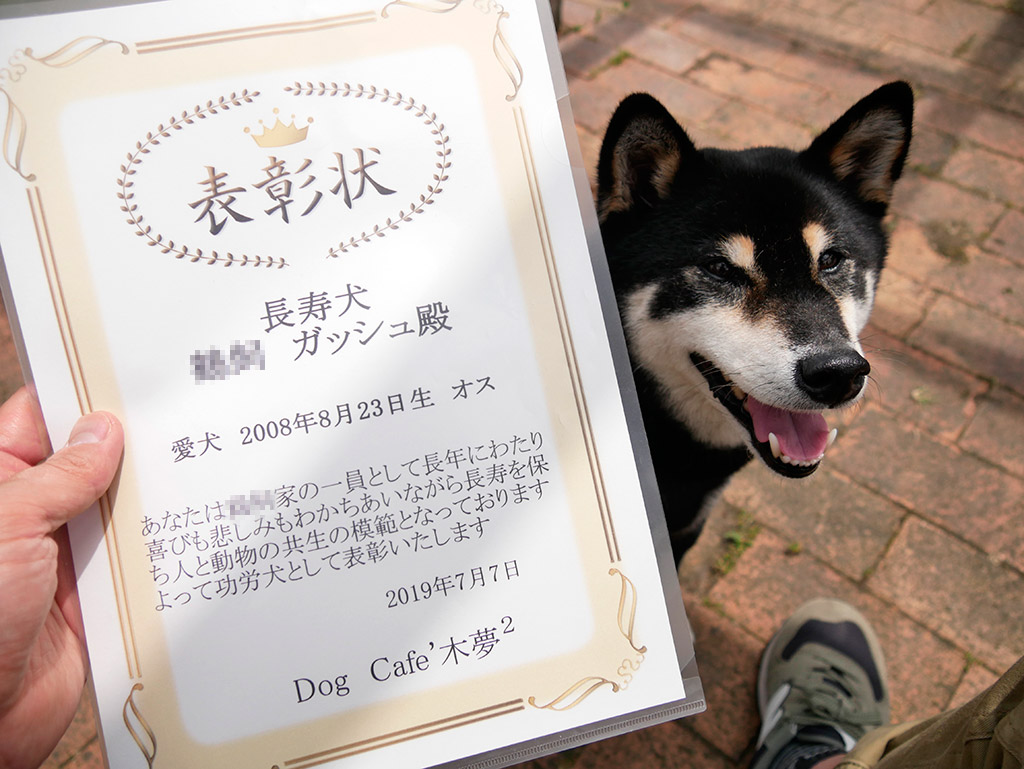 f:id:tsuruten:20200413235249j:plain