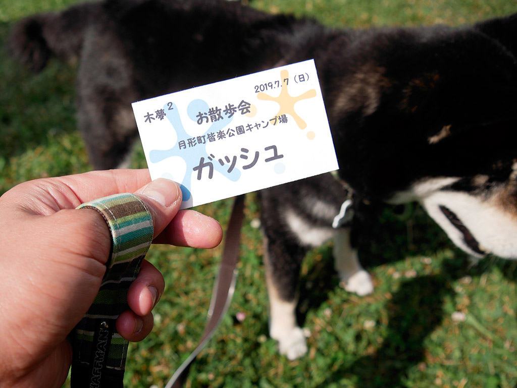f:id:tsuruten:20200413235426j:plain