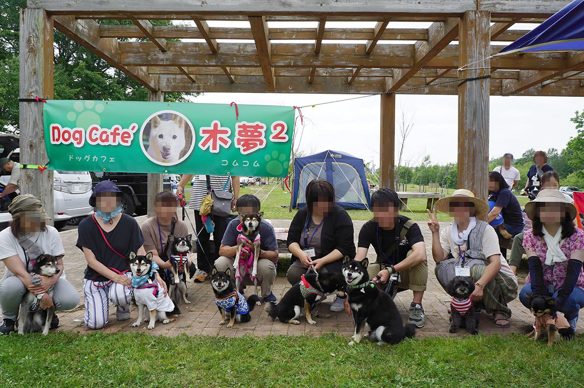 f:id:tsuruten:20200413235439j:plain