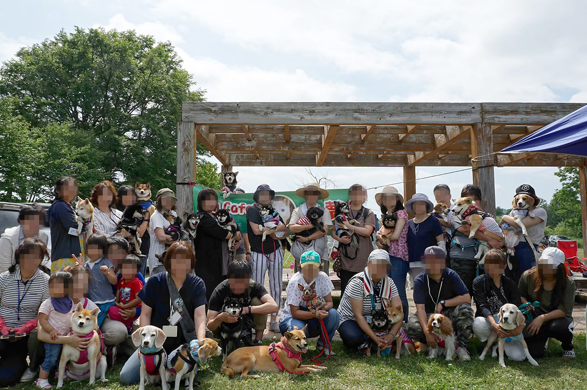 f:id:tsuruten:20200413235443j:plain
