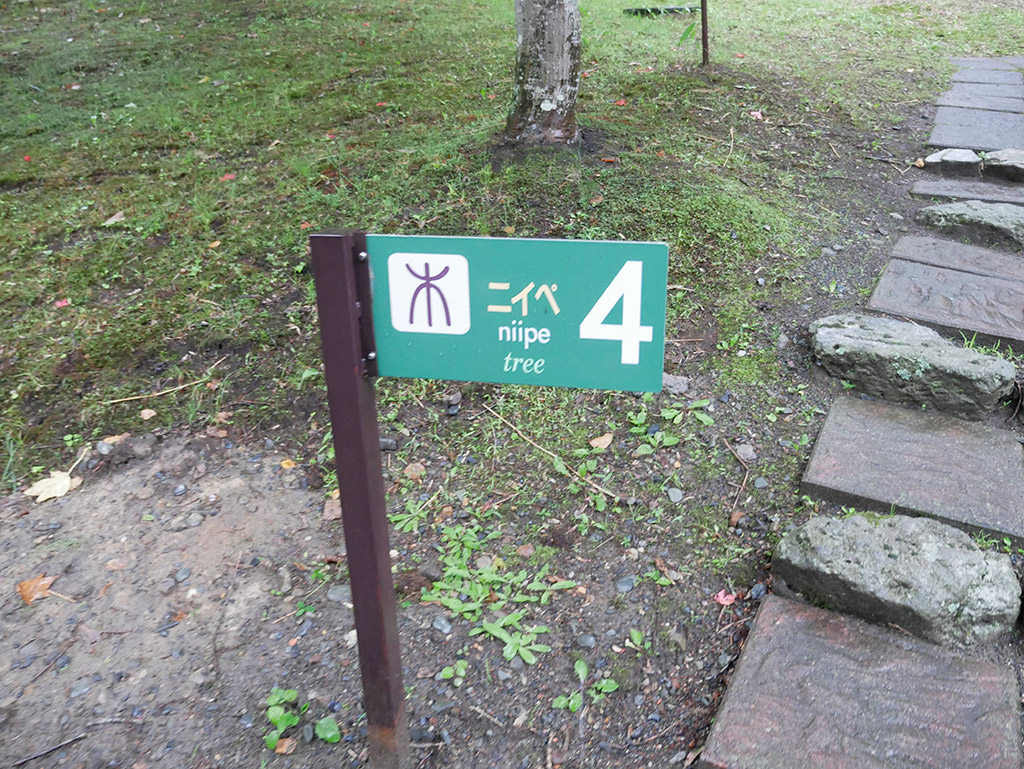 f:id:tsuruten:20200415221632j:plain