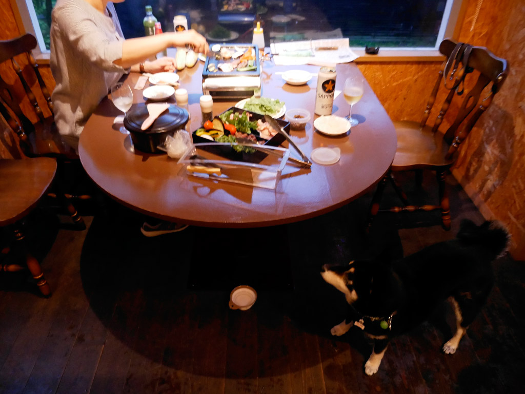 f:id:tsuruten:20200415221746j:plain