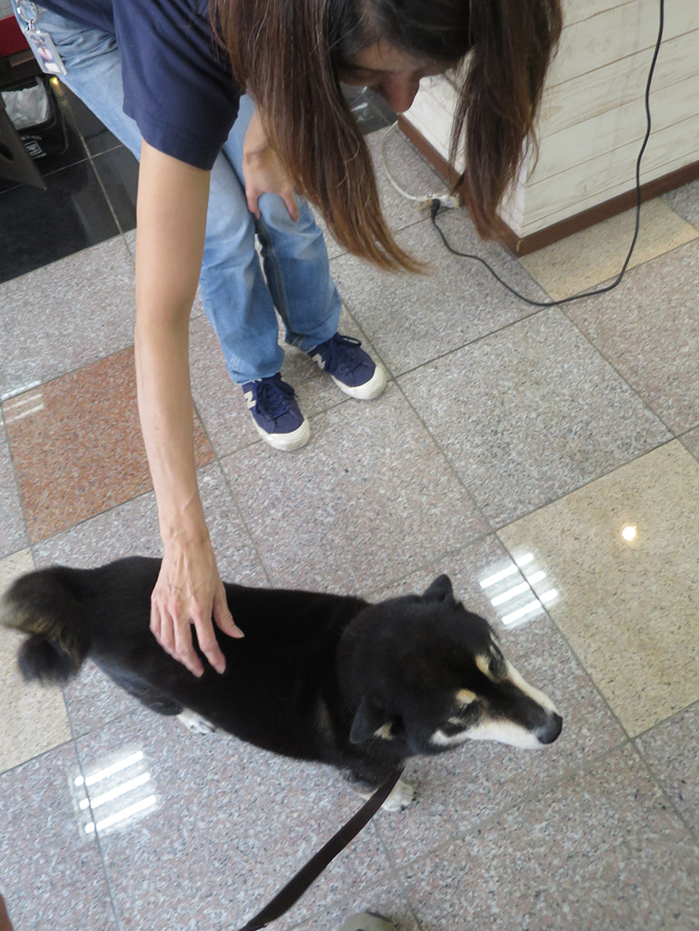f:id:tsuruten:20200420213659j:plain