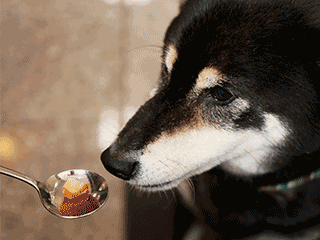 f:id:tsuruten:20200421225251g:plain