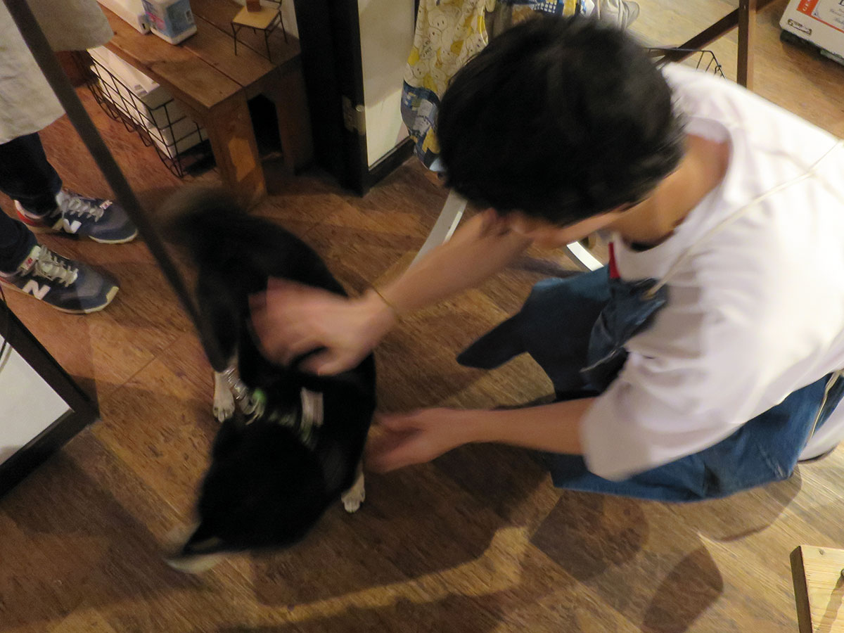 f:id:tsuruten:20200429134255j:plain f:id:tsuruten:20200429134255j:plain