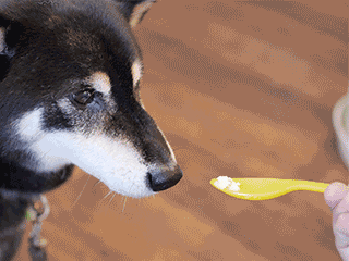 f:id:tsuruten:20200503001129g:plain