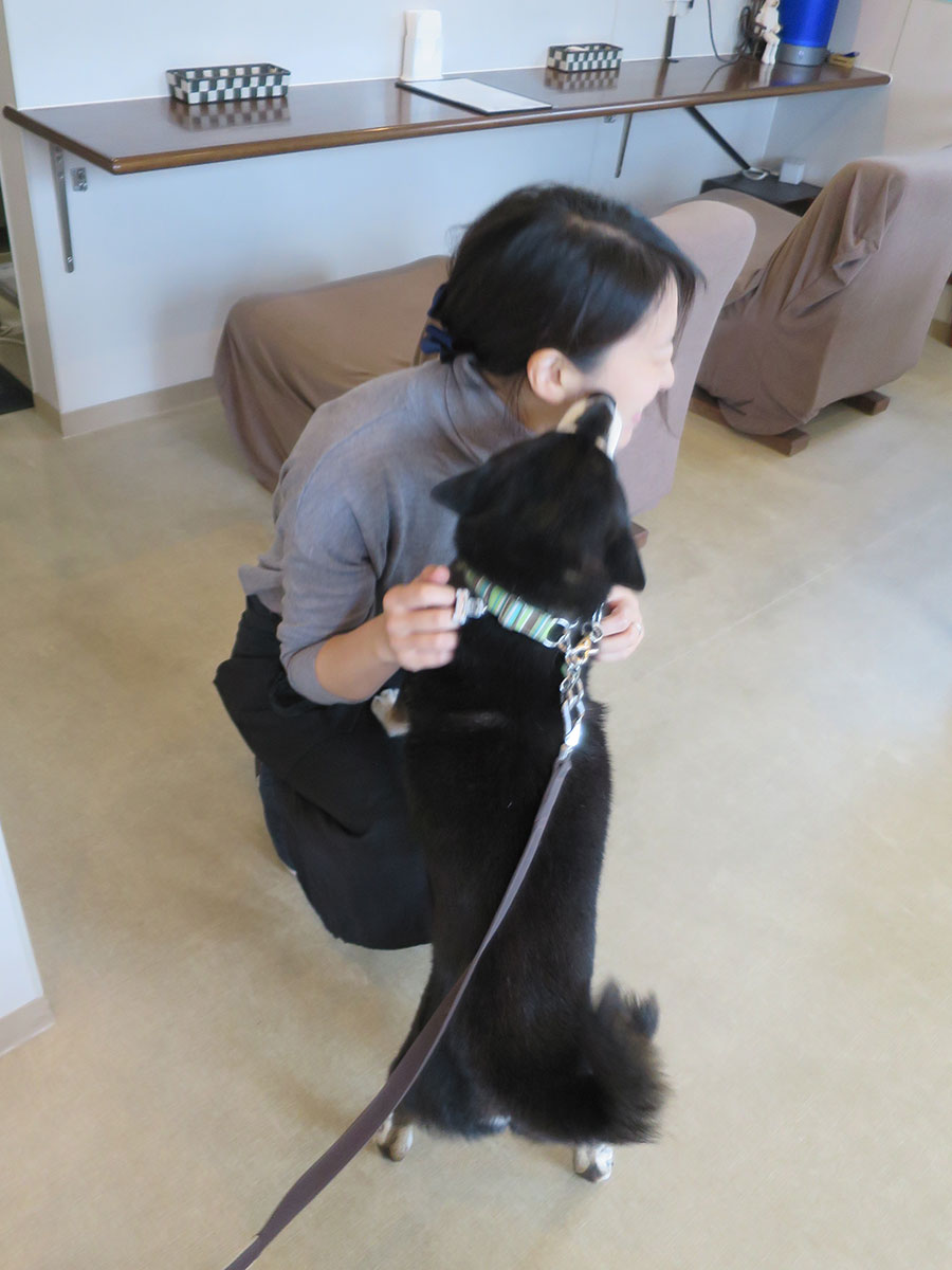 f:id:tsuruten:20200506155502j:plain