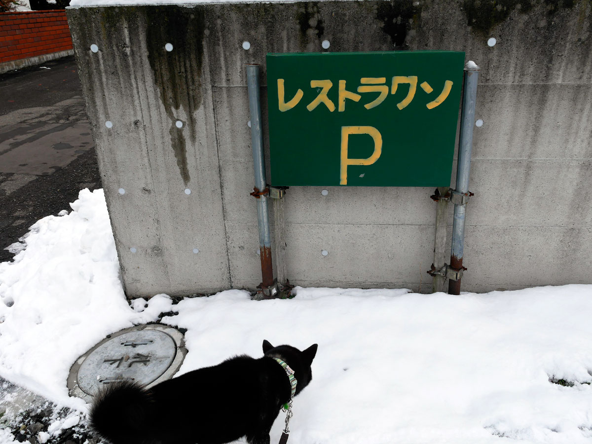 f:id:tsuruten:20200513225737j:plain
