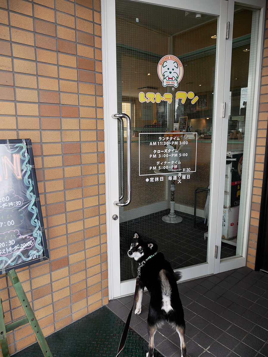 f:id:tsuruten:20200513225744j:plain
