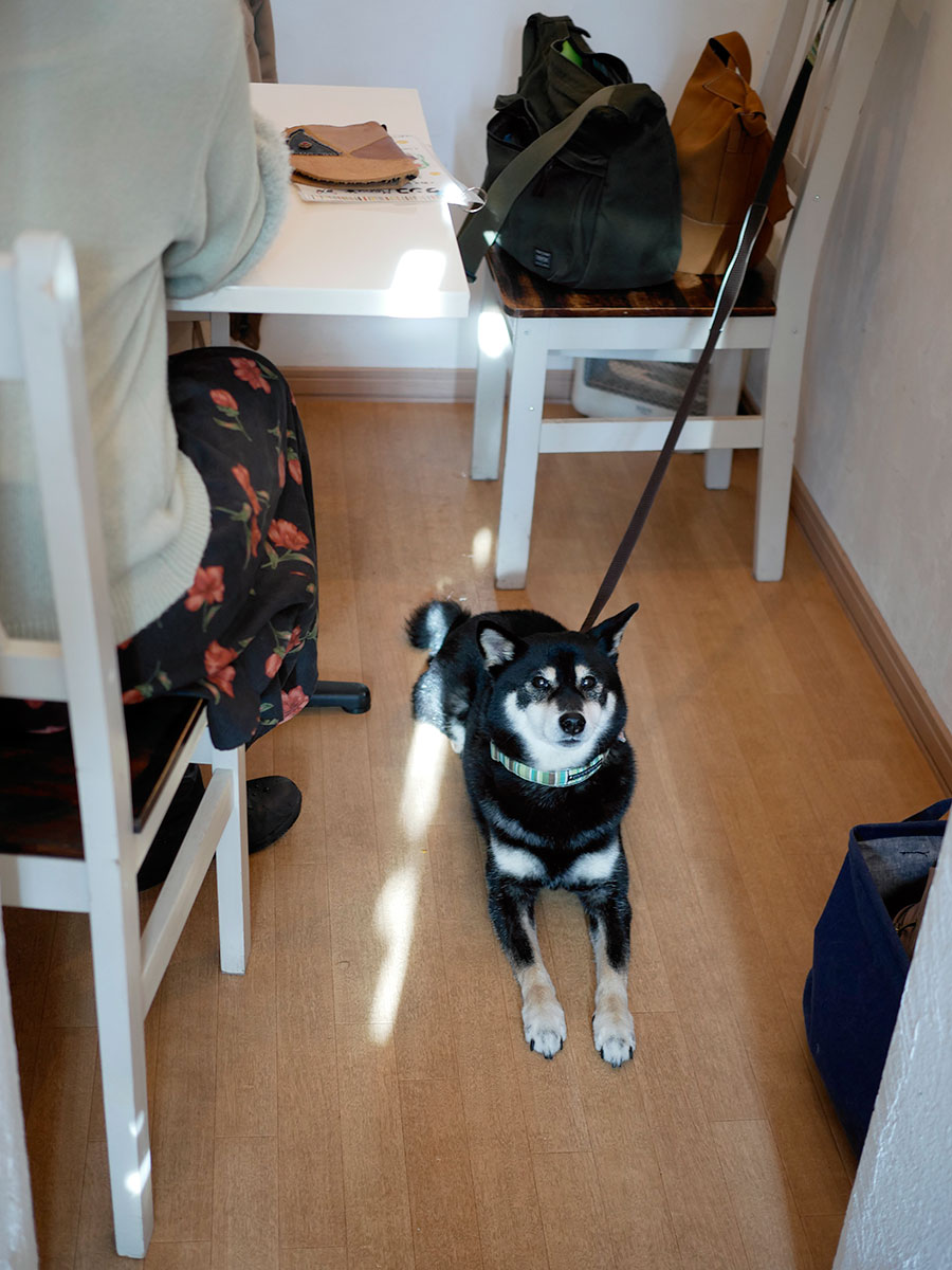 f:id:tsuruten:20200607222458j:plain