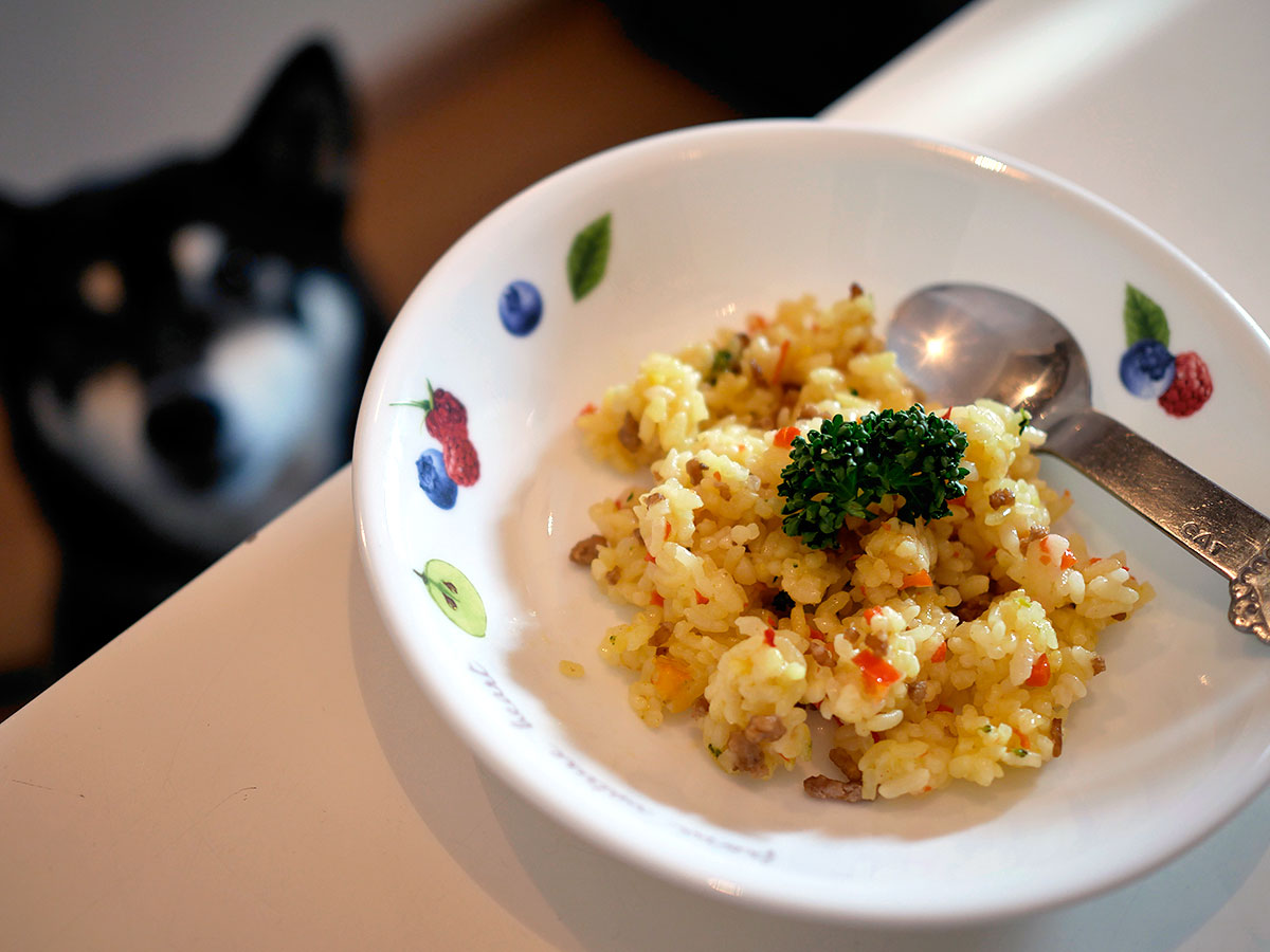 f:id:tsuruten:20200607222519j:plain