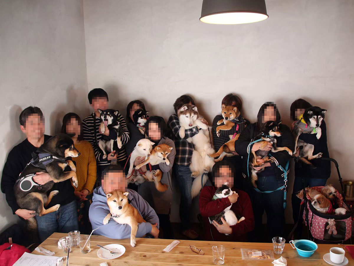 f:id:tsuruten:20200621233549j:plain