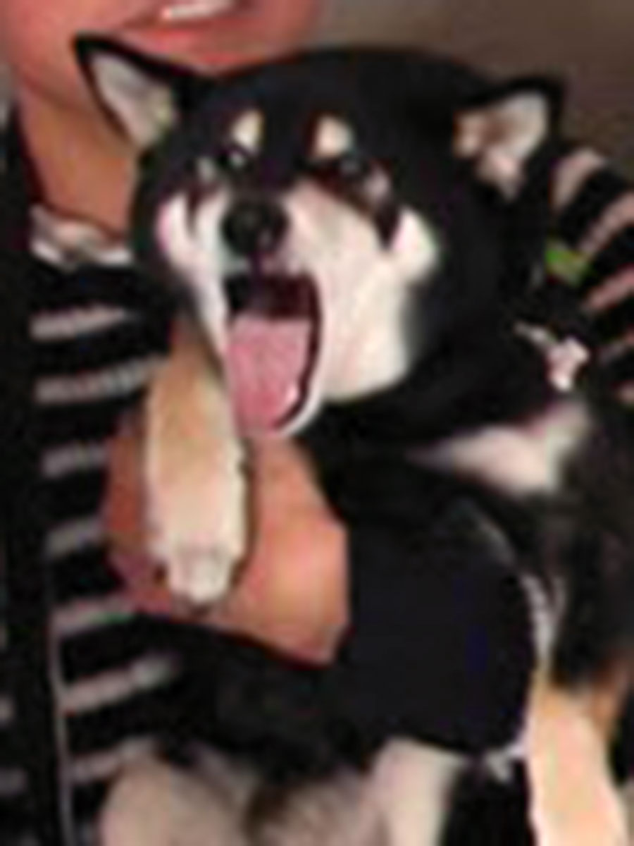 f:id:tsuruten:20200621233555j:plain
