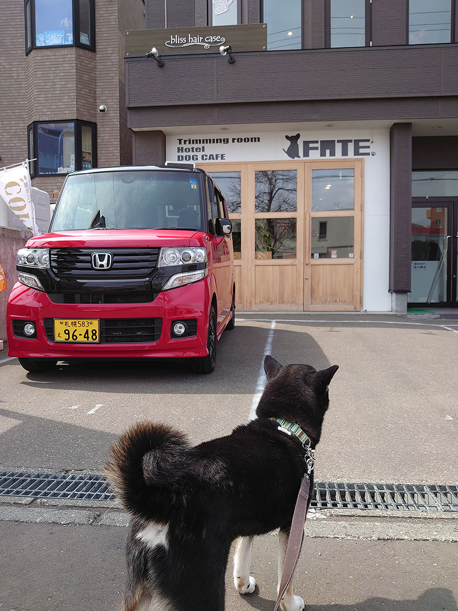 f:id:tsuruten:20200711152037j:plain f:id:tsuruten:20200711152037j:plain