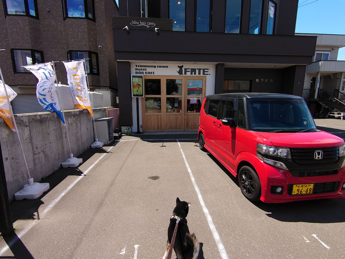 f:id:tsuruten:20200718171853j:plain