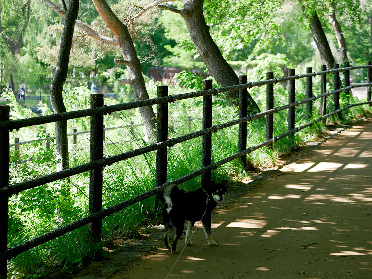 f:id:tsuruten:20200725145524j:plain f:id:tsuruten:20200725145524j:plain