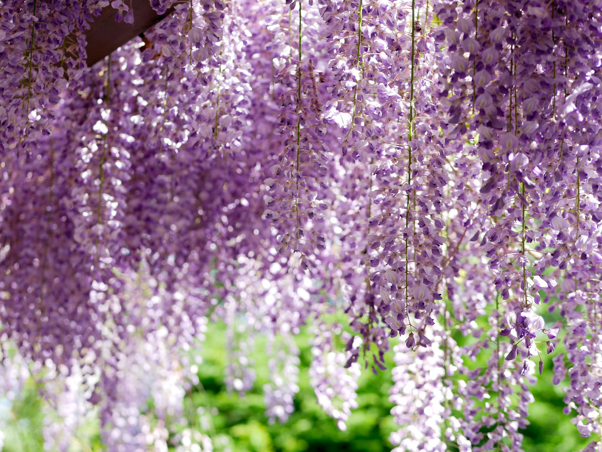 f:id:tsuruten:20200725145530j:plain f:id:tsuruten:20200725145530j:plain