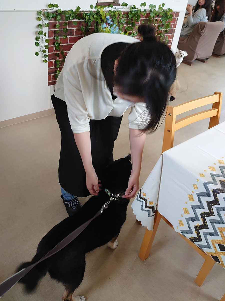 f:id:tsuruten:20200726141624j:plain