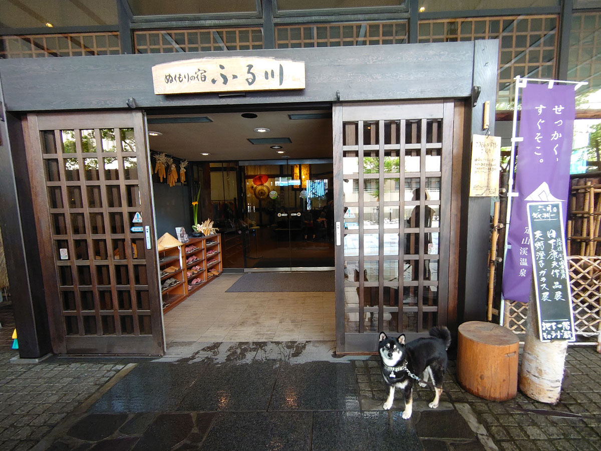 f:id:tsuruten:20200731002644j:plain