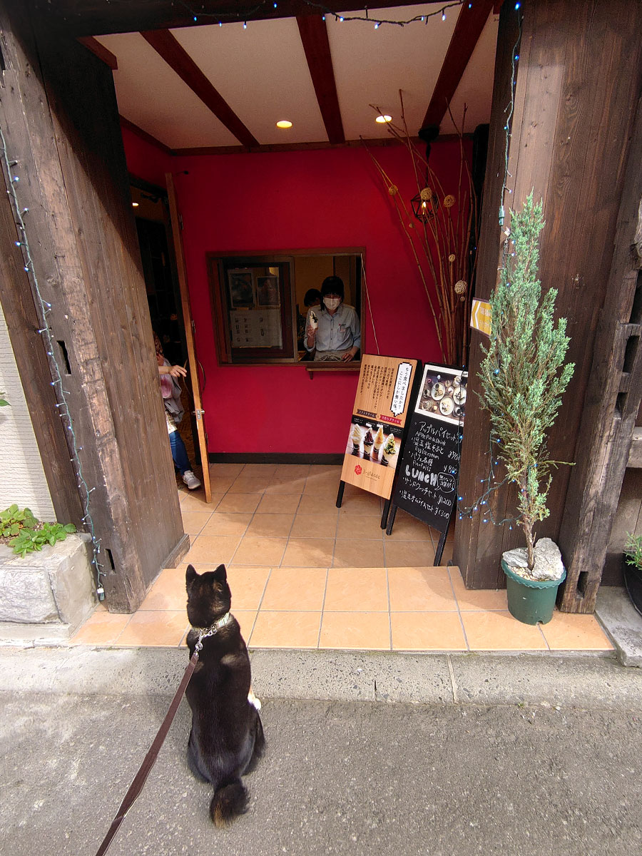 f:id:tsuruten:20200731002737j:plain