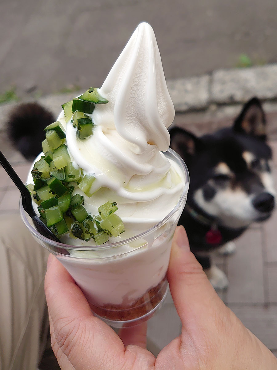 f:id:tsuruten:20200731002742j:plain