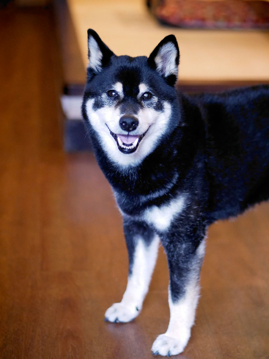 f:id:tsuruten:20200731002815j:plain
