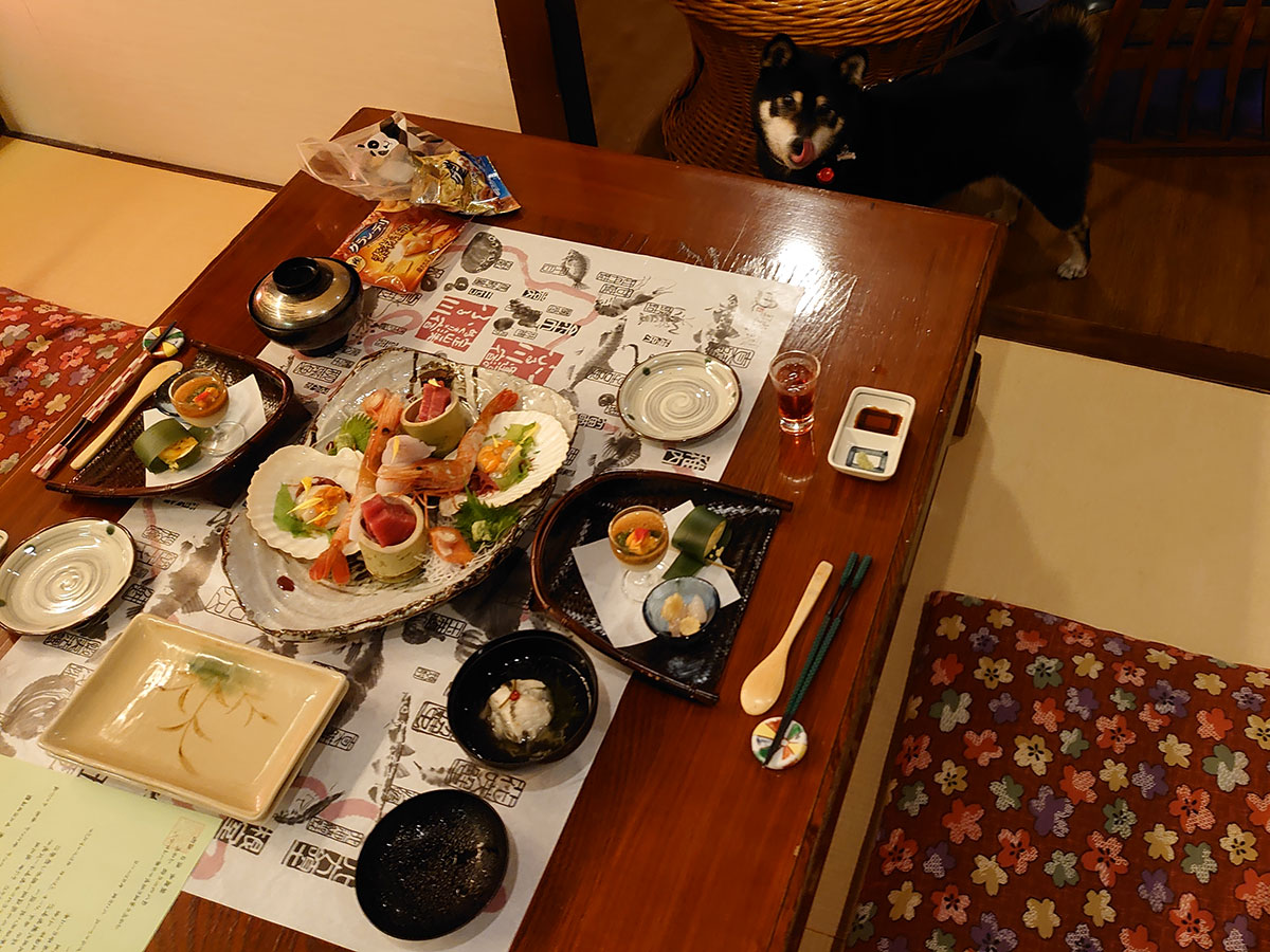 f:id:tsuruten:20200731002923j:plain f:id:tsuruten:20200731002923j:plain