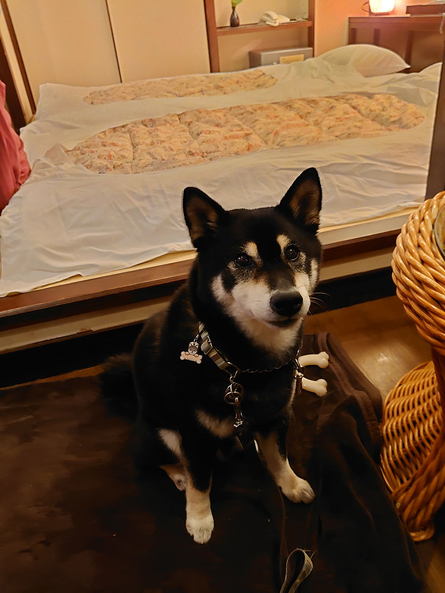 f:id:tsuruten:20200731003013j:plain f:id:tsuruten:20200731003013j:plain