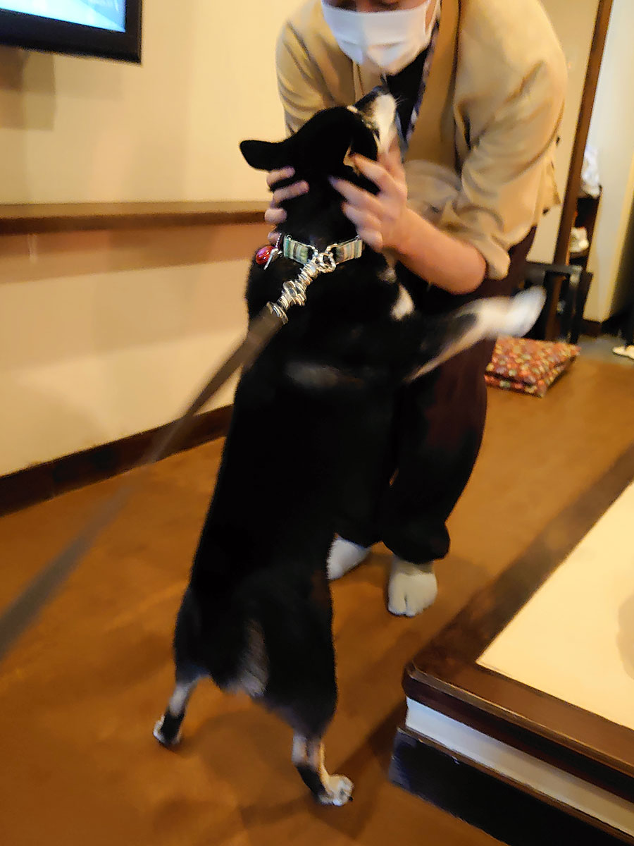 f:id:tsuruten:20200731003128j:plain f:id:tsuruten:20200731003128j:plain