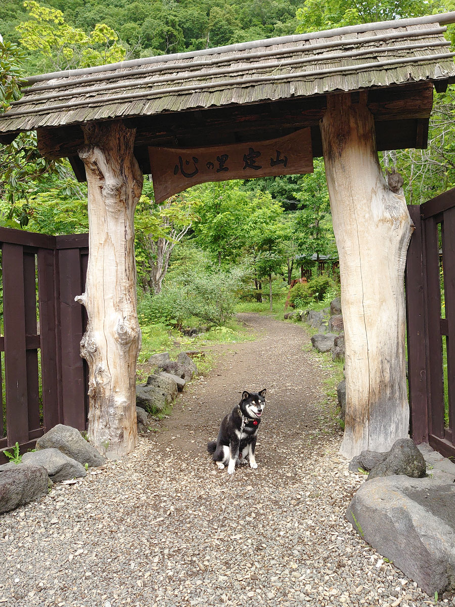 f:id:tsuruten:20200731003232j:plain f:id:tsuruten:20200731003232j:plain