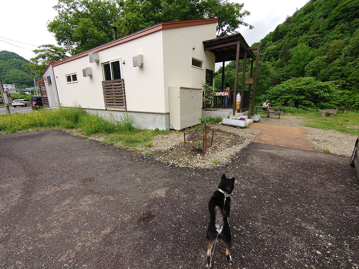 f:id:tsuruten:20200731003253j:plain f:id:tsuruten:20200731003253j:plain