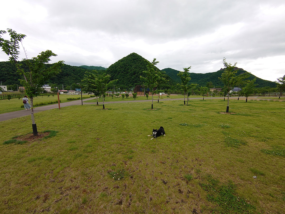 f:id:tsuruten:20200731003300j:plain f:id:tsuruten:20200731003300j:plain