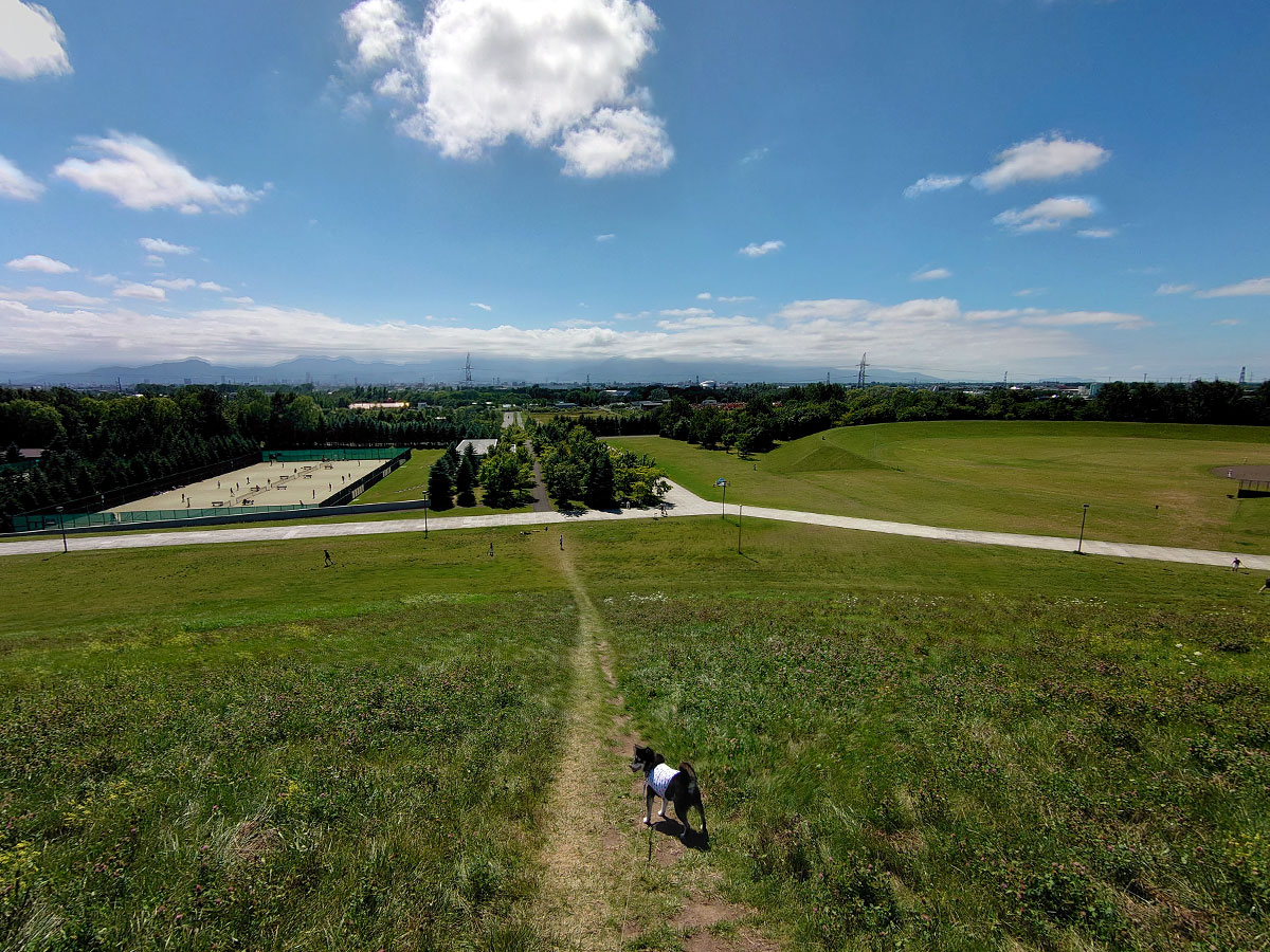 f:id:tsuruten:20200815005245j:plain