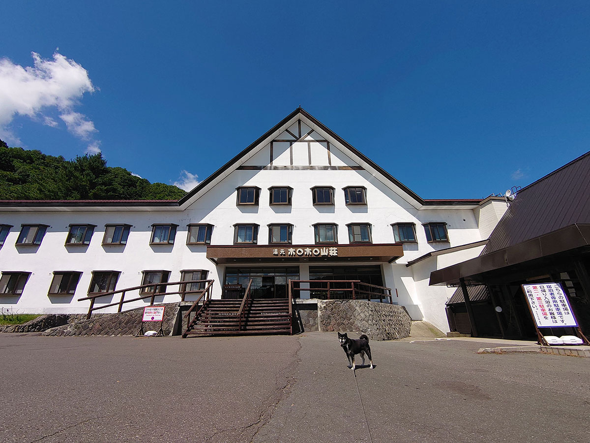 f:id:tsuruten:20200826212410j:plain