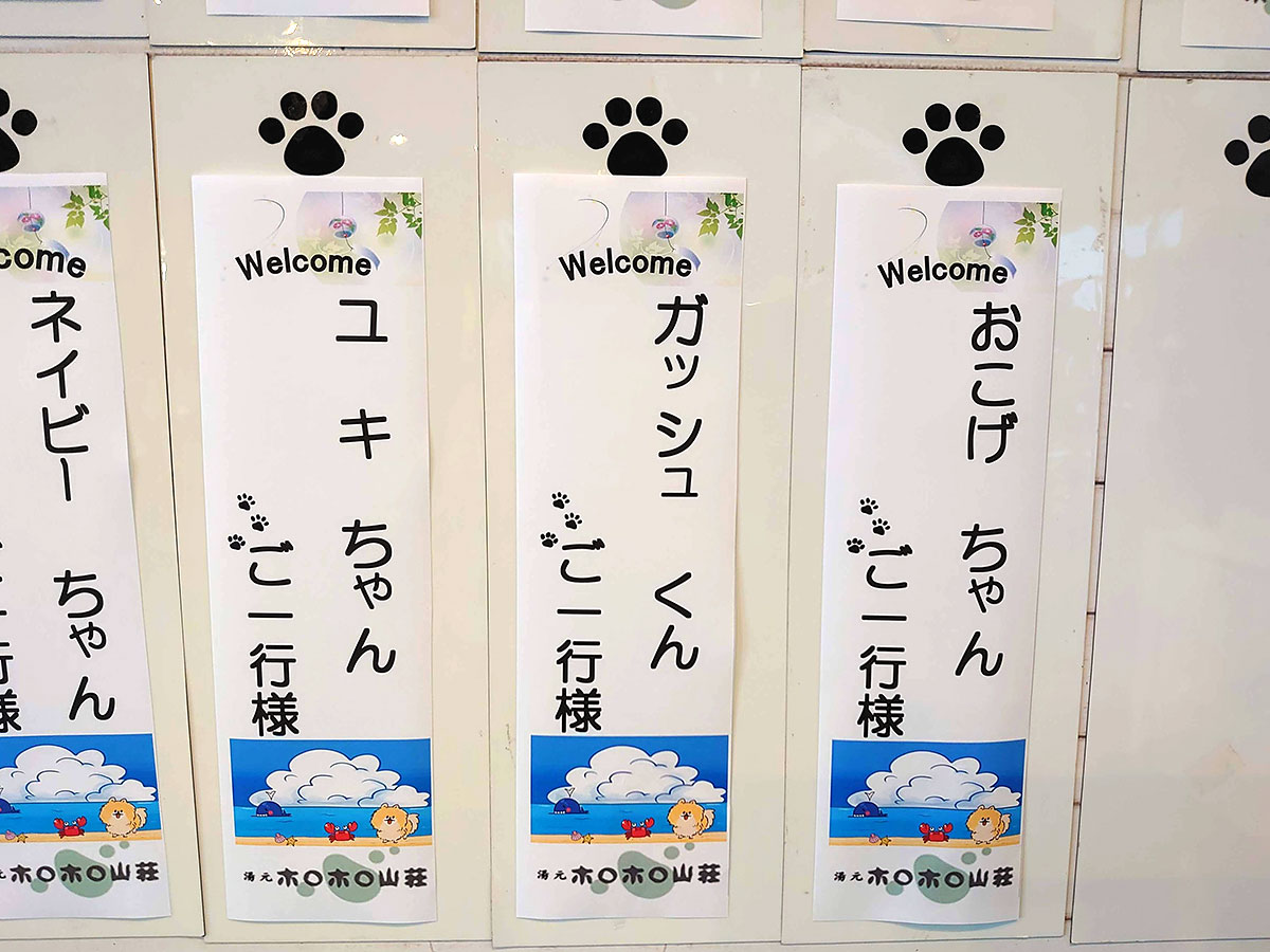 f:id:tsuruten:20200826212421j:plain